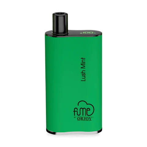 FUME INFINITY 4500 - LUSH MINT